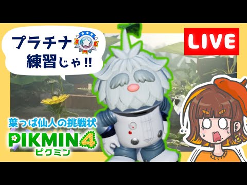 【生配信】葉っぱ仙人の挑戦状！プラチナメダル目指します🌱✨【ピクミン4】