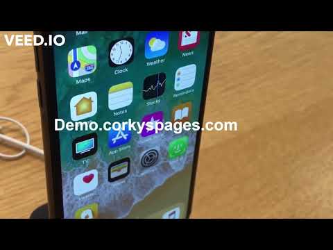 video Demo phone