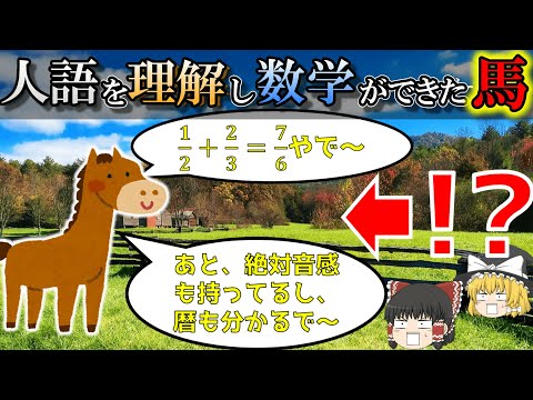 【科学ミステリー】賢すぎる馬ハンスのカラクリ【ゆっくり解説】【雑学】