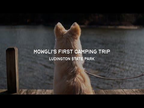 Mowlgi's First Camping Trip | Dog Camping at Ludington State Park