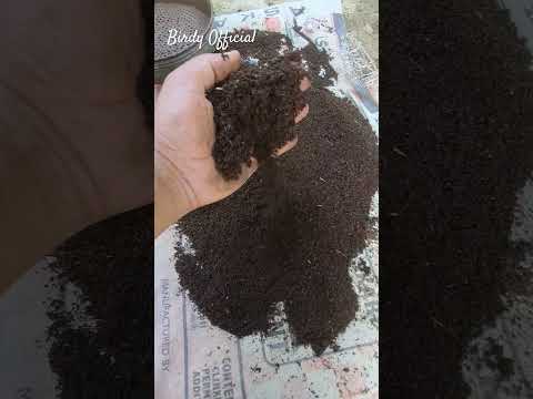 Black Gold - Vermicompost #homegarden #plants #compost