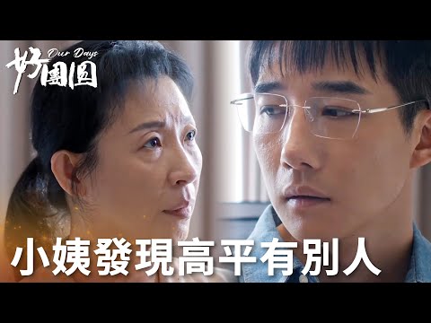 「好團圓」小姨意外發現高平外面有人還懷孕了，慌忙離職回老家！ | WeTV