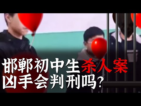 邯郸13岁初一学生案 凶手会被判刑吗？ 草莓蛋糕