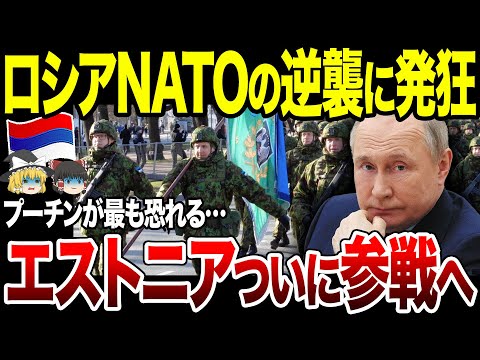 【ゆっくり解説】ロシアが最も恐れる国「エストニア」がついに参戦へ！？NATOの逆襲にプーチン発狂。