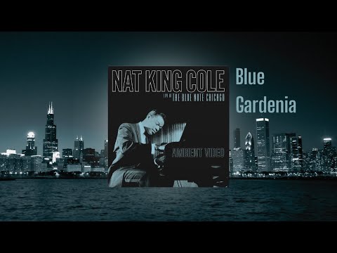 Nat King Cole – Blue Gardenia from Live At The Blue Note Chicago (Ambient Visualizer)