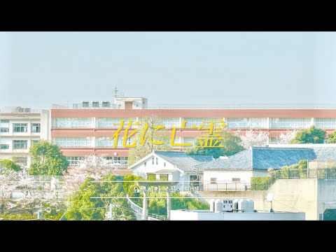 𝐏𝐥𝐚𝐲𝐥𝐢𝐬𝐭 내가 일본 교환학생 가서 진짜 들었던 J-POP | 봄학기 강추🌸