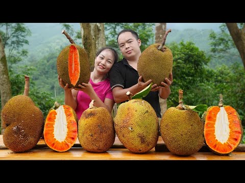 With my husband harvest Jackfruit, cook jackfruit dishes for children in the village