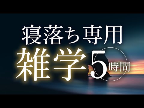 【睡眠導入】寝落ち専用雑学5時間【合成音声】