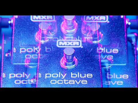 MXR® Poly Blue Octave