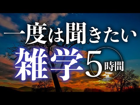 【睡眠導入】一度は聞きたい雑学5時間【合成音声】