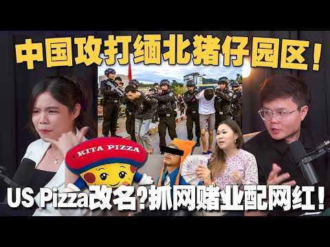 缅北诈骗集团被瓦解,叛军森林捡到枪！商家被杯葛绝不能怂？政府认真要打击赌网KOL了！【#新闻随便看 22/11】