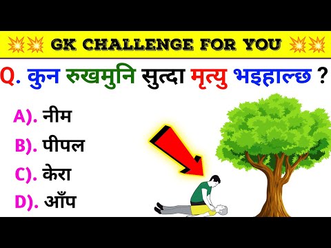 Gk Questions And Answers in Nepali।। Gk Questions।। Part 503।। Current Gk Nepal