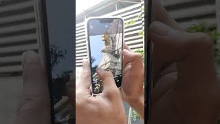 IPHONE 13 PRO ZOOM TEST 🔥🤯