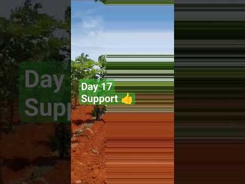 Day 17- Walking 😕😀😇😲😄☺️🤔🫣😴😁#viral #family #vlogs #familyvlogs #shorts