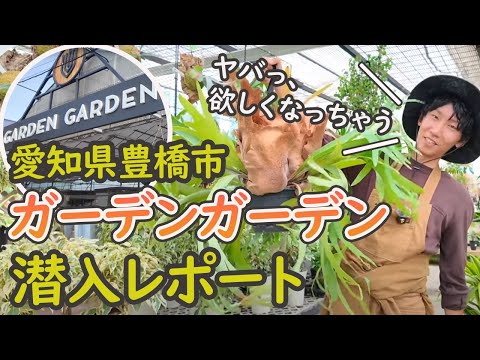 【潜入レポート】カーメン君誕生の園芸店「ガーデンガーデン」(愛知県豊橋市)が、まるで植物園だった