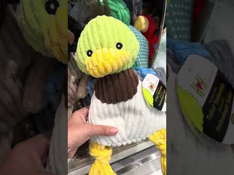 toy for pets #asmr #shorts