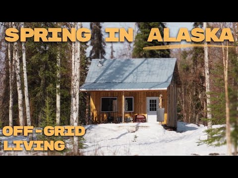 Spring Has Arrived At My Off-Grid Cabin | Snowshoe Fishing, BBQ and Moose!