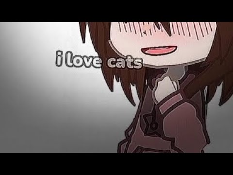 i love cats