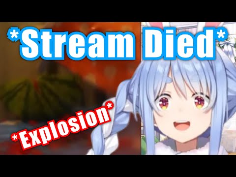 Pekora's Stream Went Offline After Watermelon Exploded【Hololive/Usada Pekora】