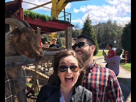 Goats On The Roof: Georgia's Can't-Miss Quirky Attraction