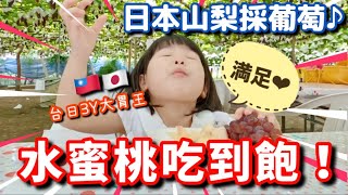 【Yamanashi Vlog・Day2】Let's go to Japan to pick grapes and peaches together!