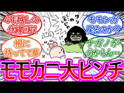 【ちいかわ】まさかのモモカニ宝探し編！突然の大ピンチ…に対する読者の反応集【ゆっくりまとめ】