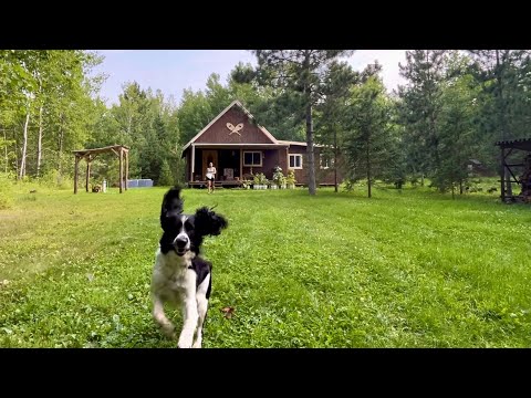 Simple Minnesota Homesteading: Permits, Building The Kitchen In The Addition