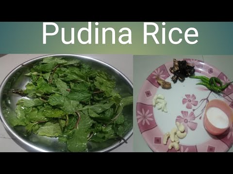 ಪುದಿನಾ ರೈಸ್  ಮಾಡುವುದು ಹೇಗೆ?Pudina rice recipe # my first recipe