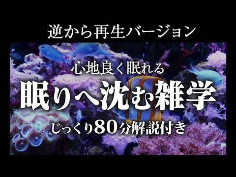 【逆から再生】爆睡できる雑学【リラックス】いつもとは全然違う雑学をまとめました♪