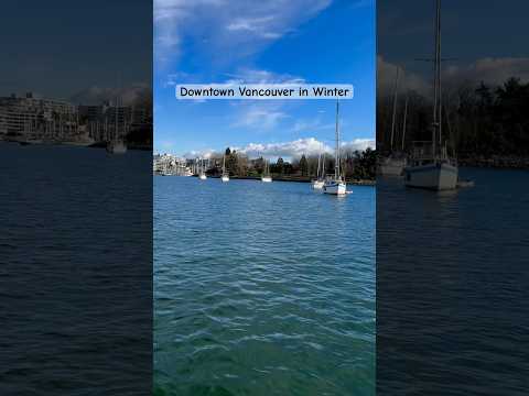 Sunny winter vibes in downtown Vancouver! ☀️🚣‍♂️ Vancouver Page