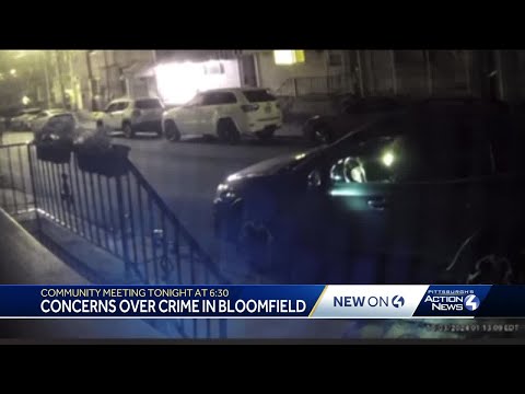 Crime concerns in Pittsburgh's Bloomfield neighborhood: Car thefts, porch pirates, vandalism