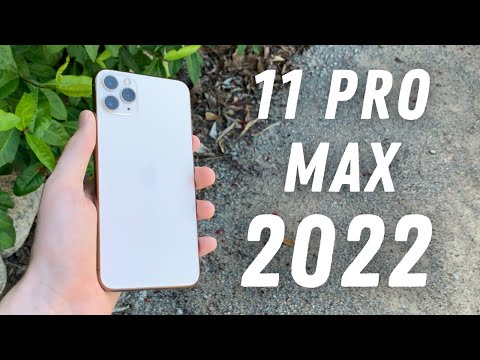 iPhone 11 Pro Max in 2022 Review - Peak Value!