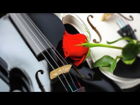 Classic violin | 8 Hours