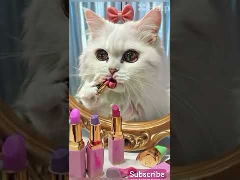 “ you have a big party to attend, but your glam squad doesn’t show up! 😿🎉” #cats #makeup #short