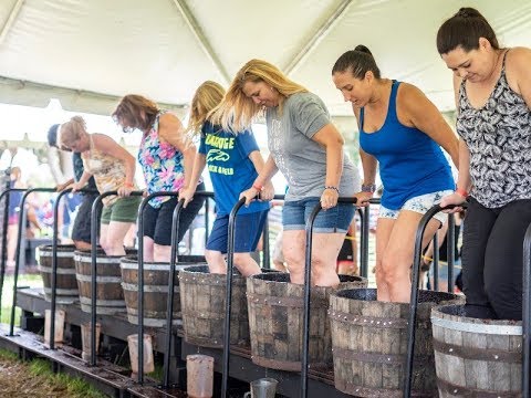 Sip Your Way Through Lake County on a Wine & Brews Tour