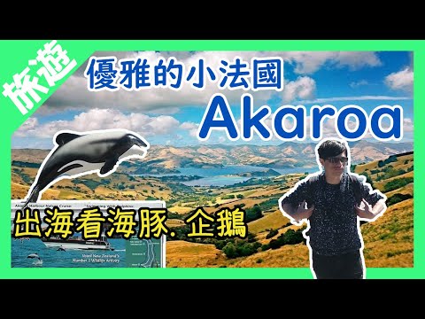 【紐西蘭蜜月】優雅小法國Akaroa｜基督城機場住宿推薦Jucy Snooze｜出海尋找海豚、企鵝｜旅遊Vlog EP14