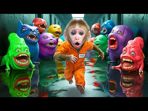 KiKi Monkey escape from Giant Monster in Prison Break challenge & go Swimming Pool |KUDO ANIMAL KIKI