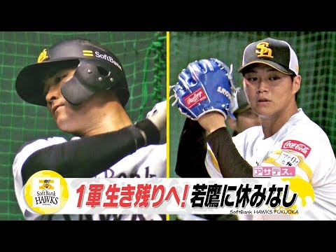 試合中止でも若鷹に休みなし　ブルペンで熱投！ドラ５澤柳【スポーツキラリ★】