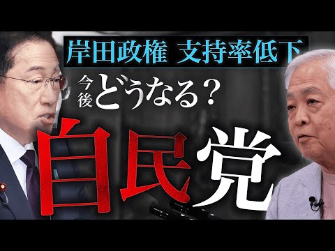 支持率が落ちても岸田内閣が続く、本当の理由