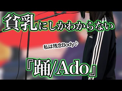 【替え歌】貧乳にしかわからない踊/Ado