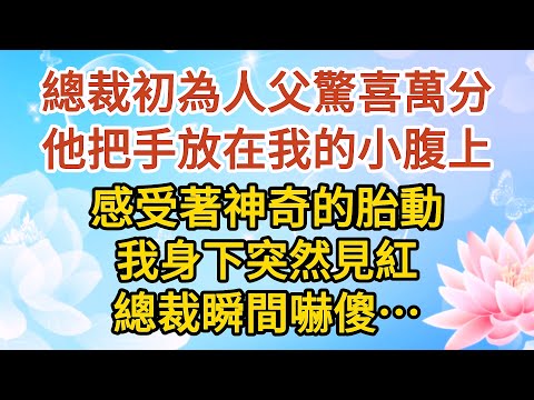 大结局【下】《小可憐懷孕》第05集：總裁初為人父驚喜萬分，他把手放在我的小腹上，感受著神奇的胎動，我身下突然見紅，總裁瞬間嚇傻…… #戀愛#婚姻#情感 #愛情#甜寵#故事#小說#霸總