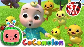 Five Little Ducks 2 + More Nursery Rhymes & Kids Songs - CoComelon