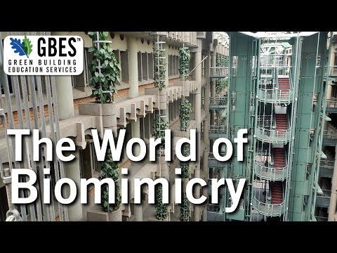 Biomimicry in Design - Education Clips