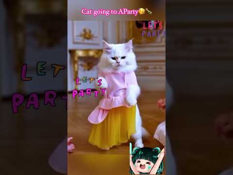 Kitty going to the party💓🥳🍾#funny #catvideos #shorts