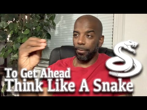 Be Successful, Think Like the KingSnake