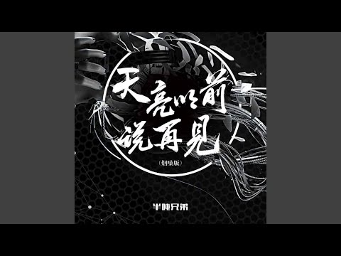 天亮以前说再见 (DJ默涵版)