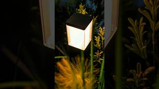 Check this out! 👀 #BOLD #OutdoorDesign #OutdoorLighting #OutdoorLiving #BeBOLD #LandscapeLighting