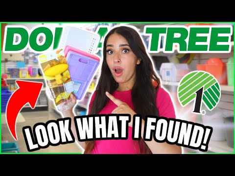 15 *NEW* Dollar Tree Items You DON'T want to miss this July 2024