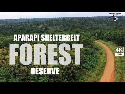 Aparapi Shelterbelt Forest Reserve 4K