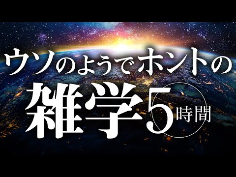 【睡眠導入】ウソのようでホントの雑学5時間【合成音声】